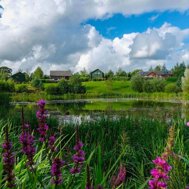 Bluestone Resorts